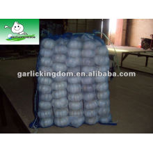 500g small packing red garlic